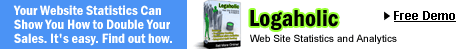 Web Analytics